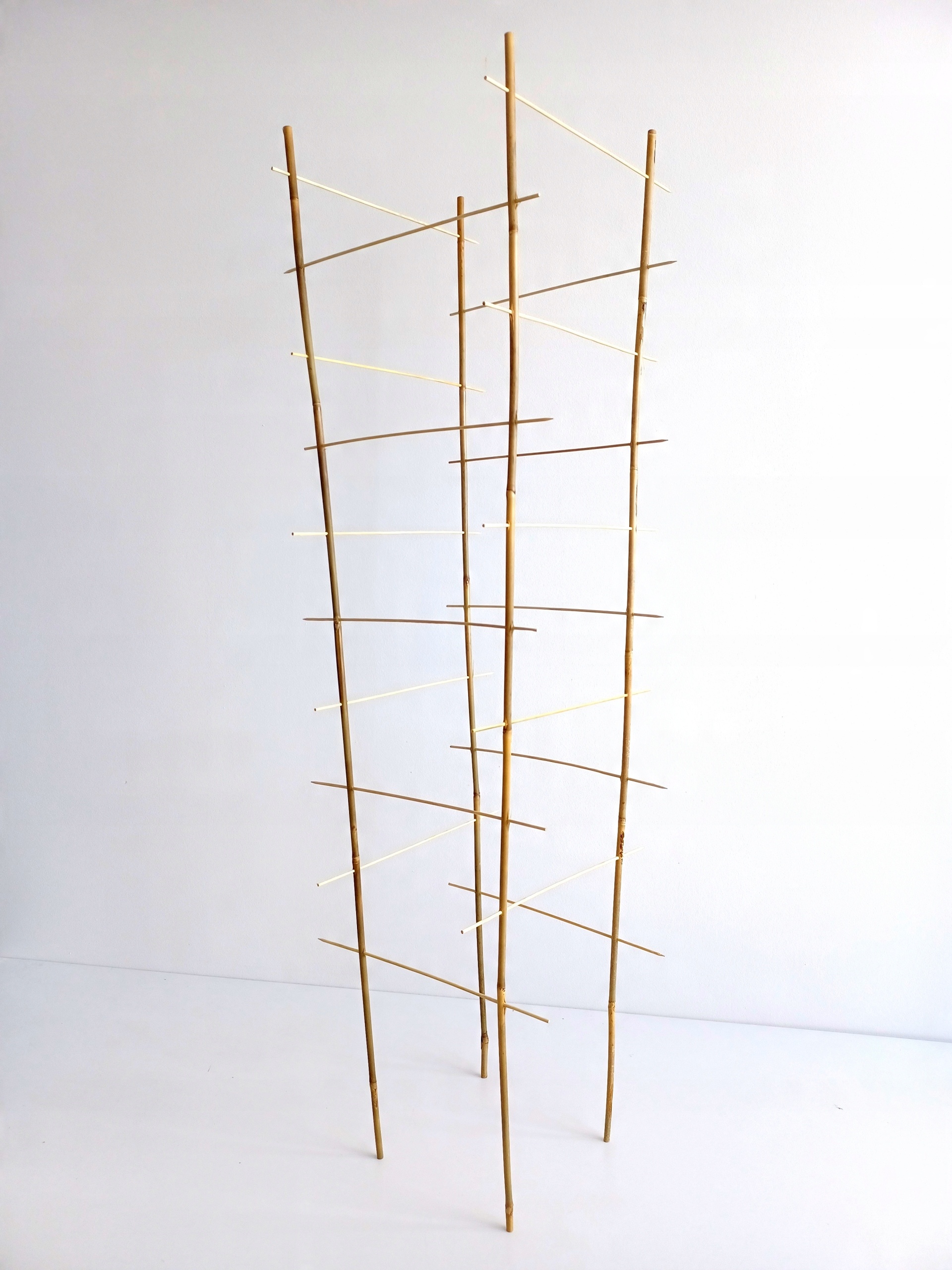 

Bambusowa Podpora Obejma do roślin Wysokość 120cm