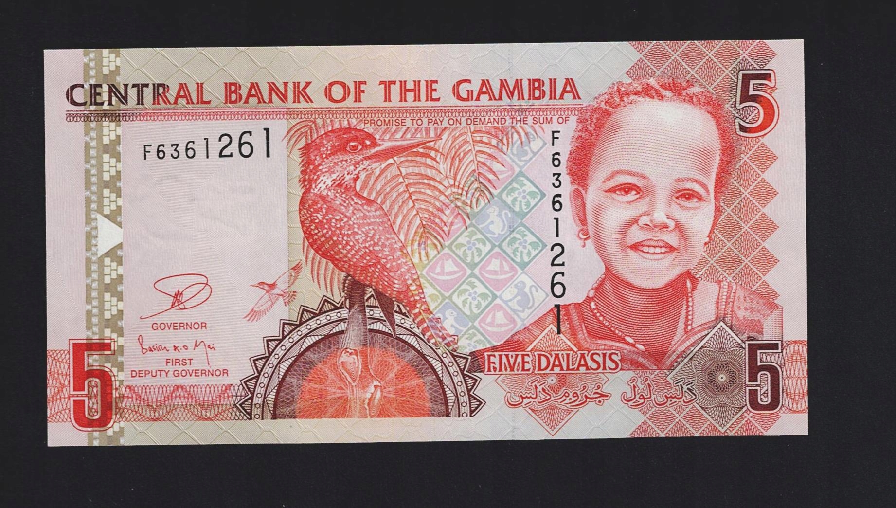 BANKNOT GAMBIA -- 5 DALASIS -- 2006 rok, UNC, (B50)