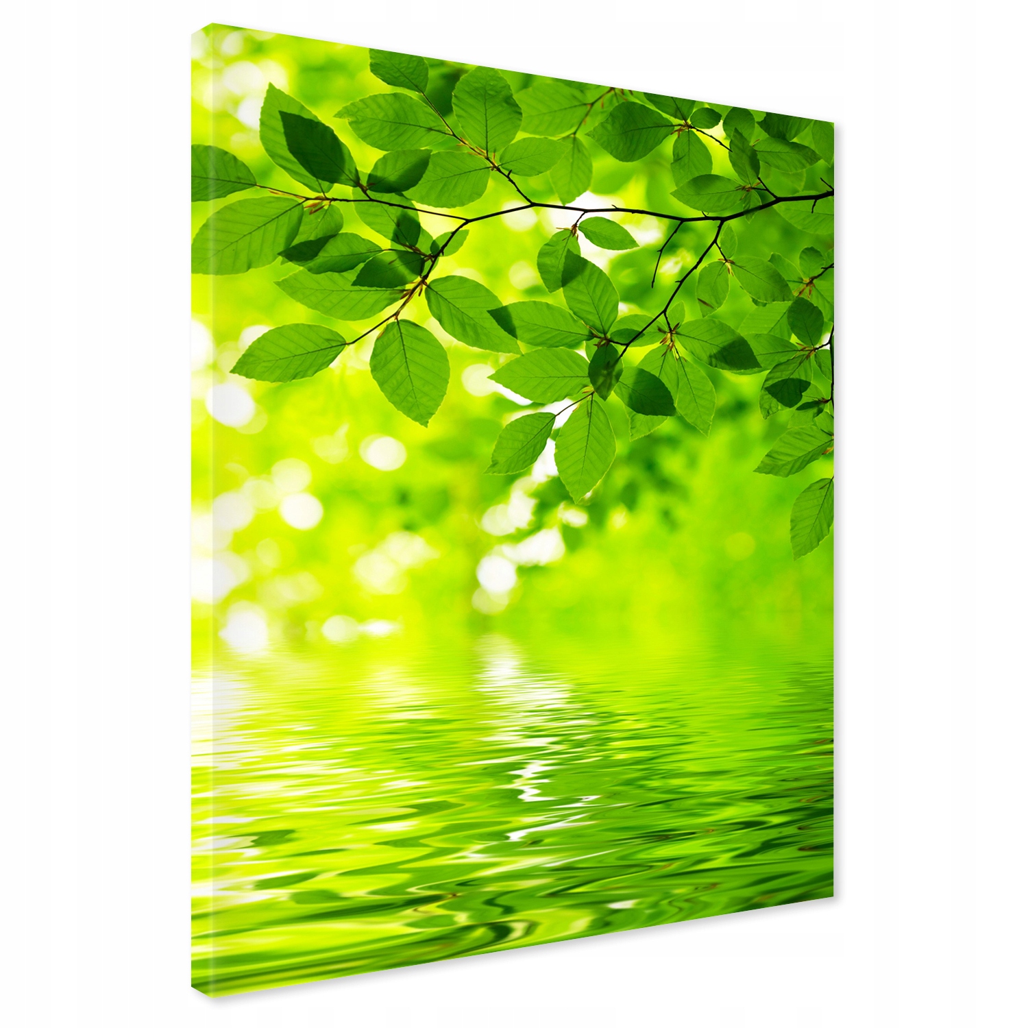 Obraz na płótnie 80x120 Liście Woda Zieleń Premium XXL Canvas do Salonu