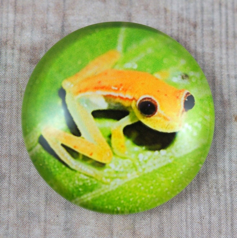 Kaboszon Szklany Żaba Żółta 20 mm.