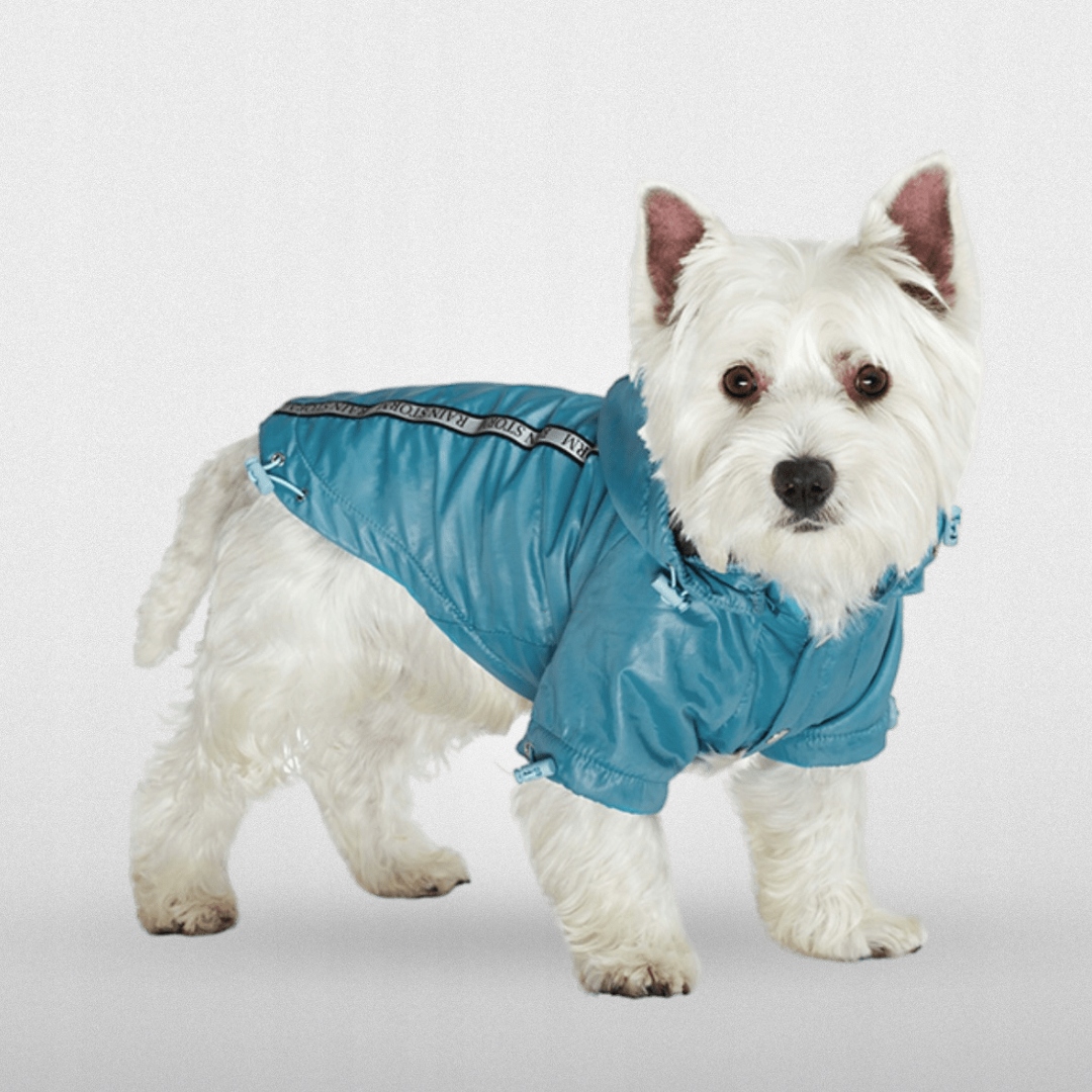 Dešťová Bunda Pro Psa Modrá Urban Pup Teal Blue Xs