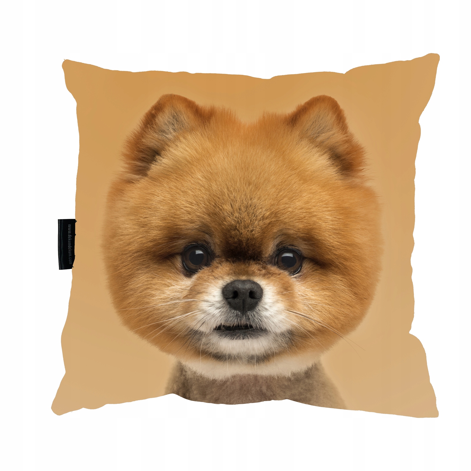 

Poduszka z Psem Pomeranian pies idealny