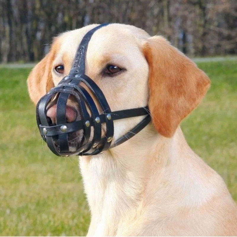 

Trixie Kaganiec skórzany Julius M