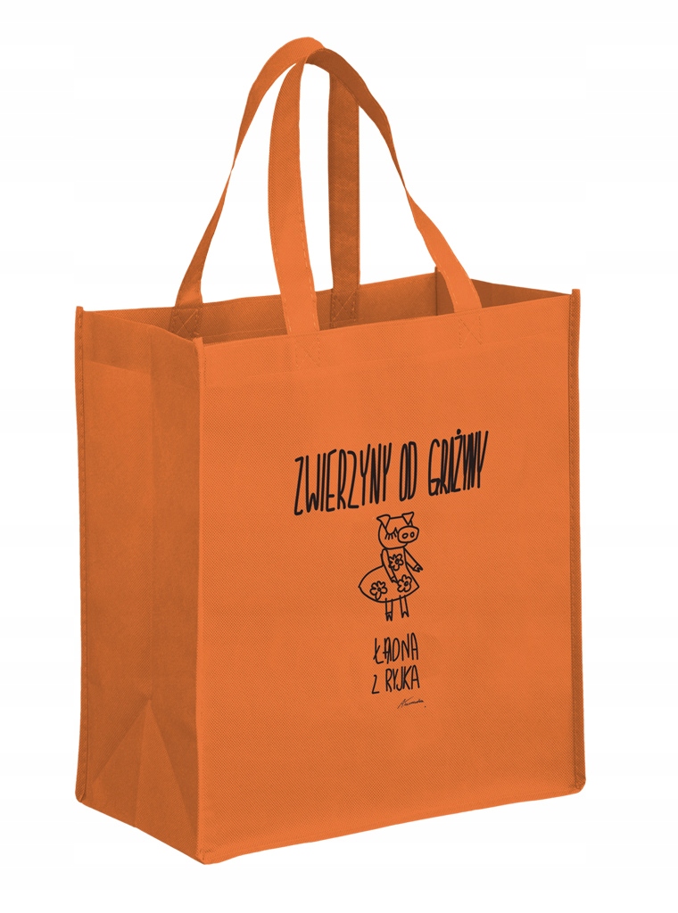 Torba Ekologiczna Torba na zakupy DUŻA