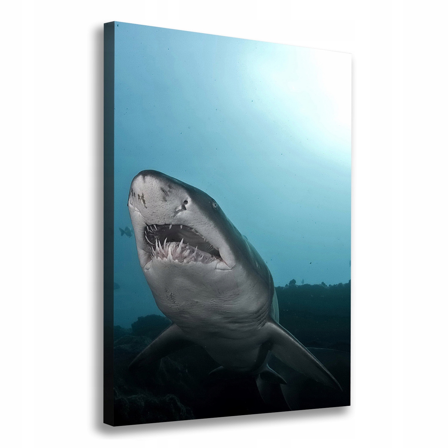 

Foto obraz na płótnie do salonu Duży rekin 70x100