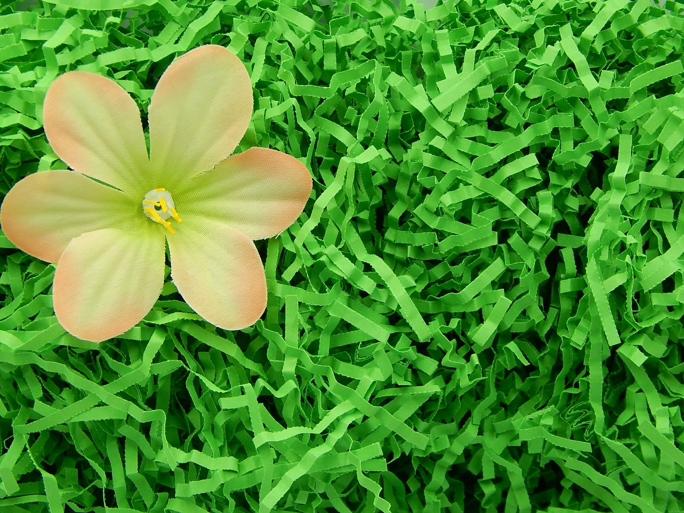 Wypełniacz Naturalny Dekoracyjny Ciemny Zielony