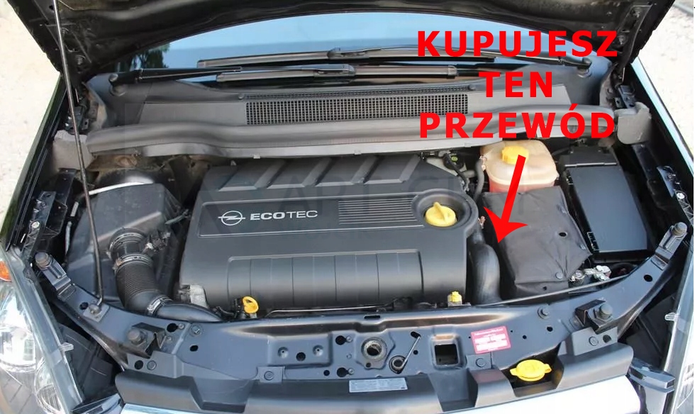 Waz intercoolera OPEL ZAFIRA B 1 9 CDTI 55353830 Part manufacturer Rengum