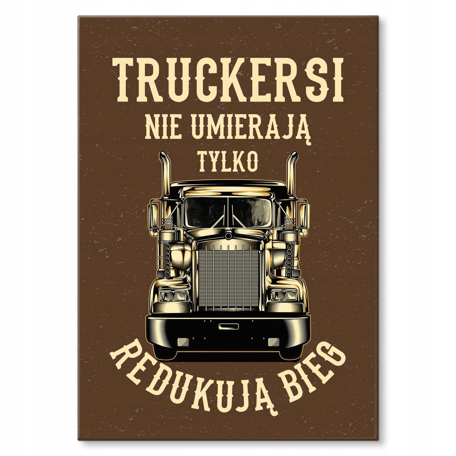 Plech Plakát Kovový Velký Dárek Pro Řidiče Truckersa Kamion Truck