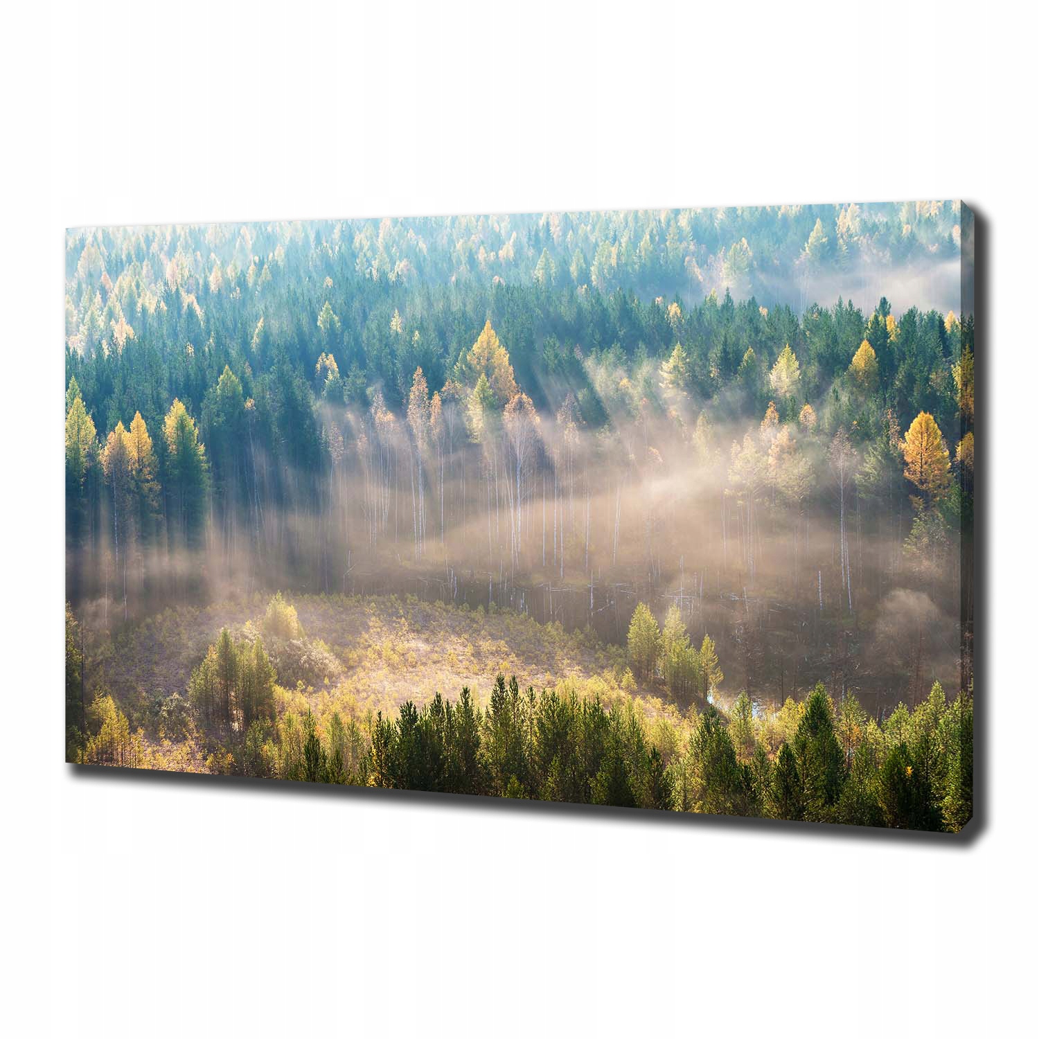 

Duży foto obraz na płótnie Mgła w lesie 100x70 cm