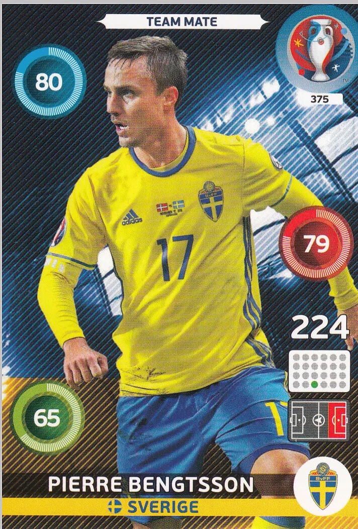 Uefa Euro 2016 Team Mate Pierre Bengtsson 375