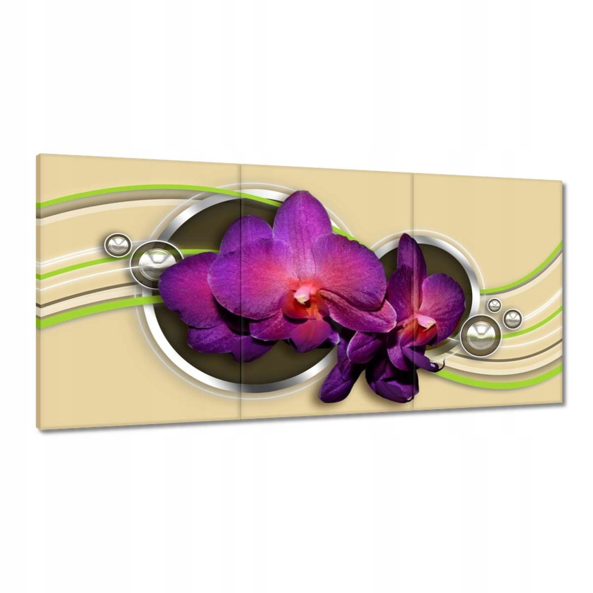 Obrazy 180x90 Orchidey