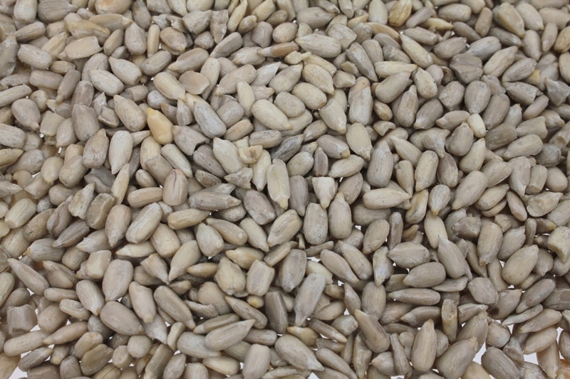Słonecznik łuskany 10kg