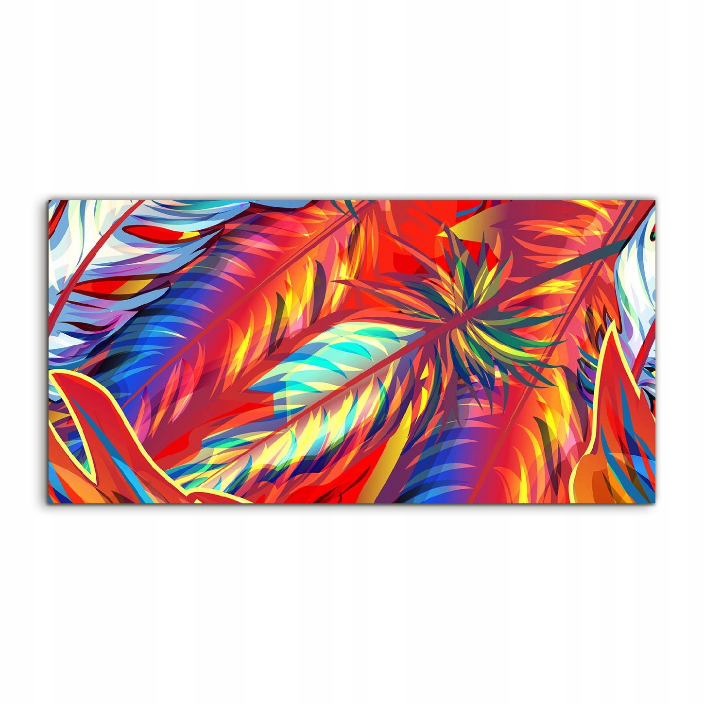 

Obraz 140x70 na prezent Egzotyczne Pióra na ścianę