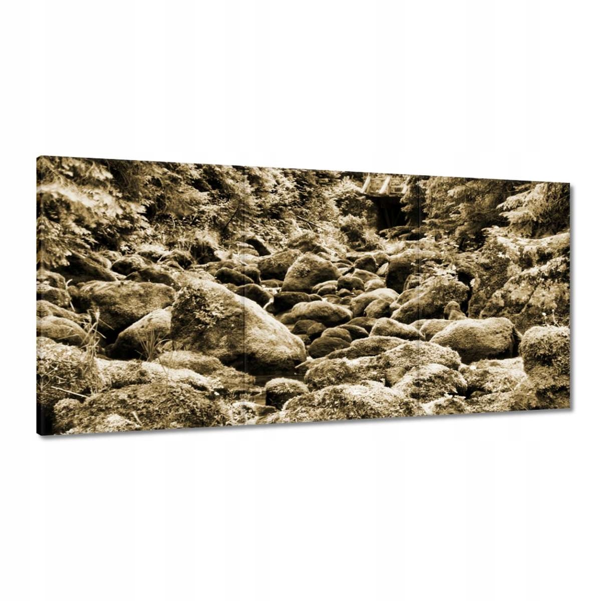 Obrazy 180x90 Tatry Poľské hory Pohľad