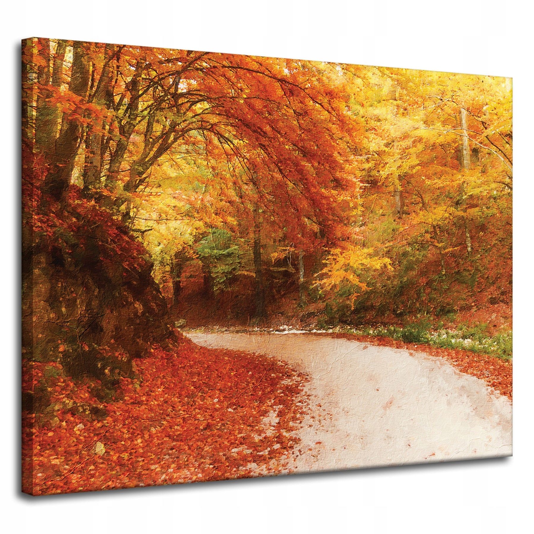 Obraz na plátně Stezka v Podzimním lese Barevné listy 100x80 cm