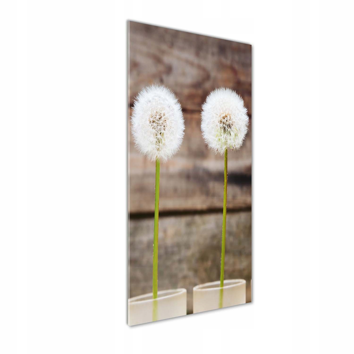 

Foto obraz akrylowy na ścianę Dmuchawce 50x125cm