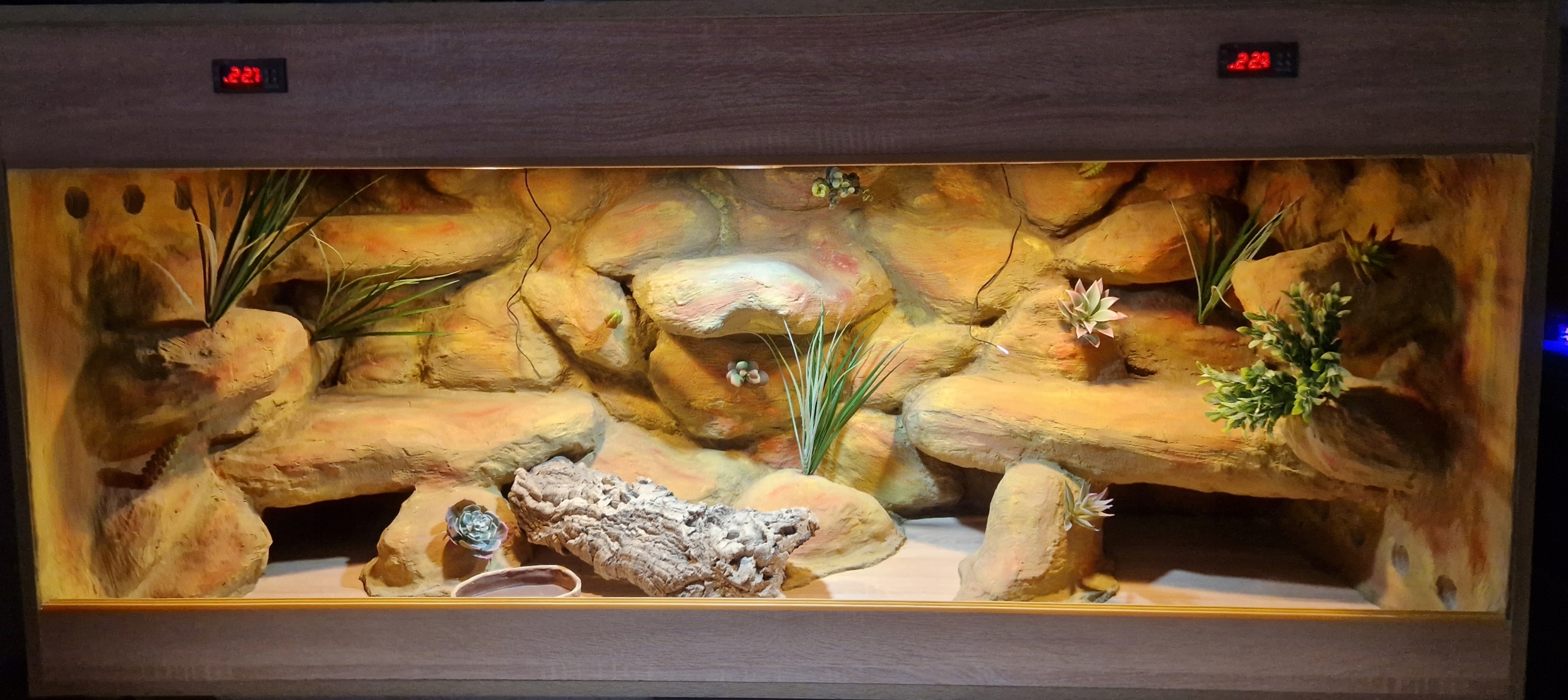 Pouštní Terárium Pro Trpasličí Agámu Gekona 100x50x50 Na Objednávku