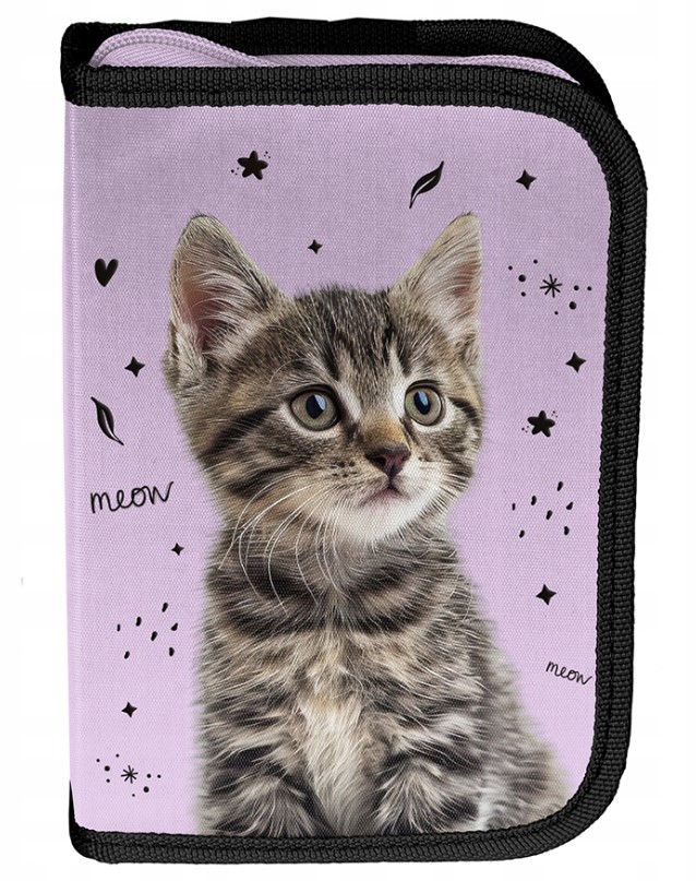 ZESTAW SZKOLNY 5-ELEMENTÓW CAT KOTEK KITTY PP25CE PASO Kod producenta PP25CE-525