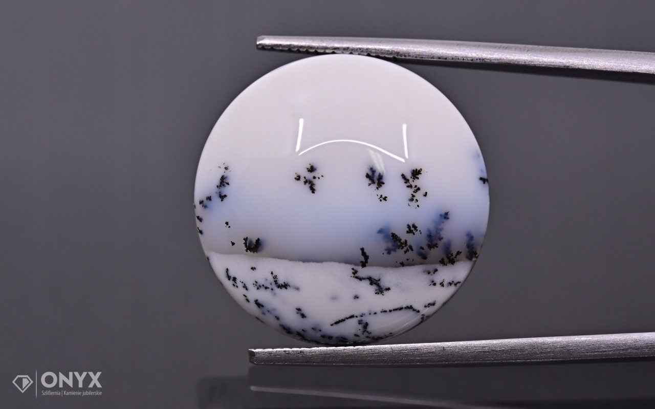 Dendritový achát z Turecka kabošon kulatý fi 20 mm