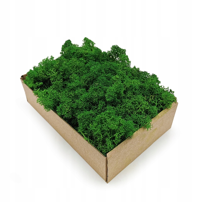 Mech Chrobotek - Alpejski - Oczyszczony - Zielony 50g NETTO