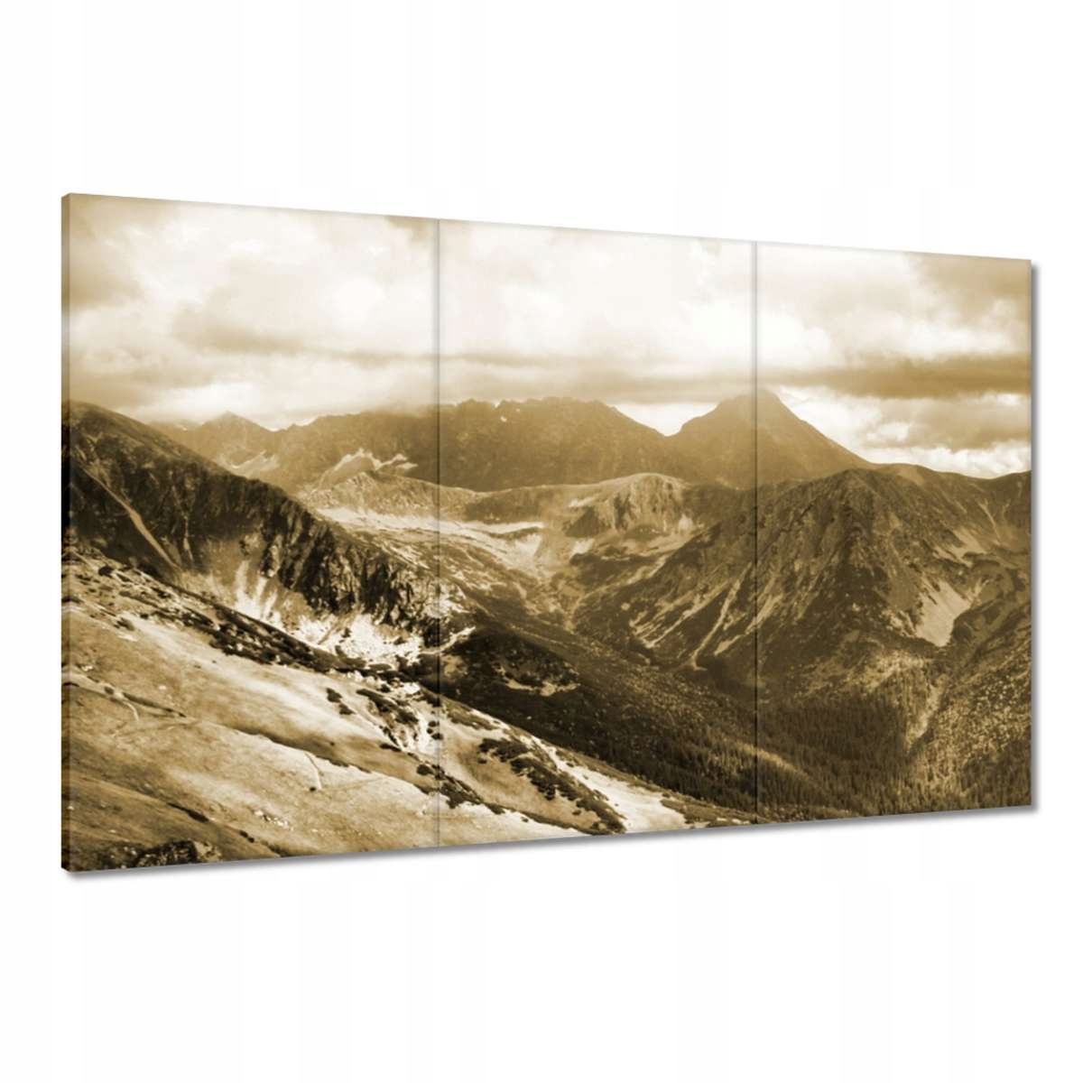 Obrazy 120x80 Tatry Polské hory Pohled