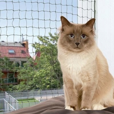 Trixie Olivová ochranná síť 3x2 m