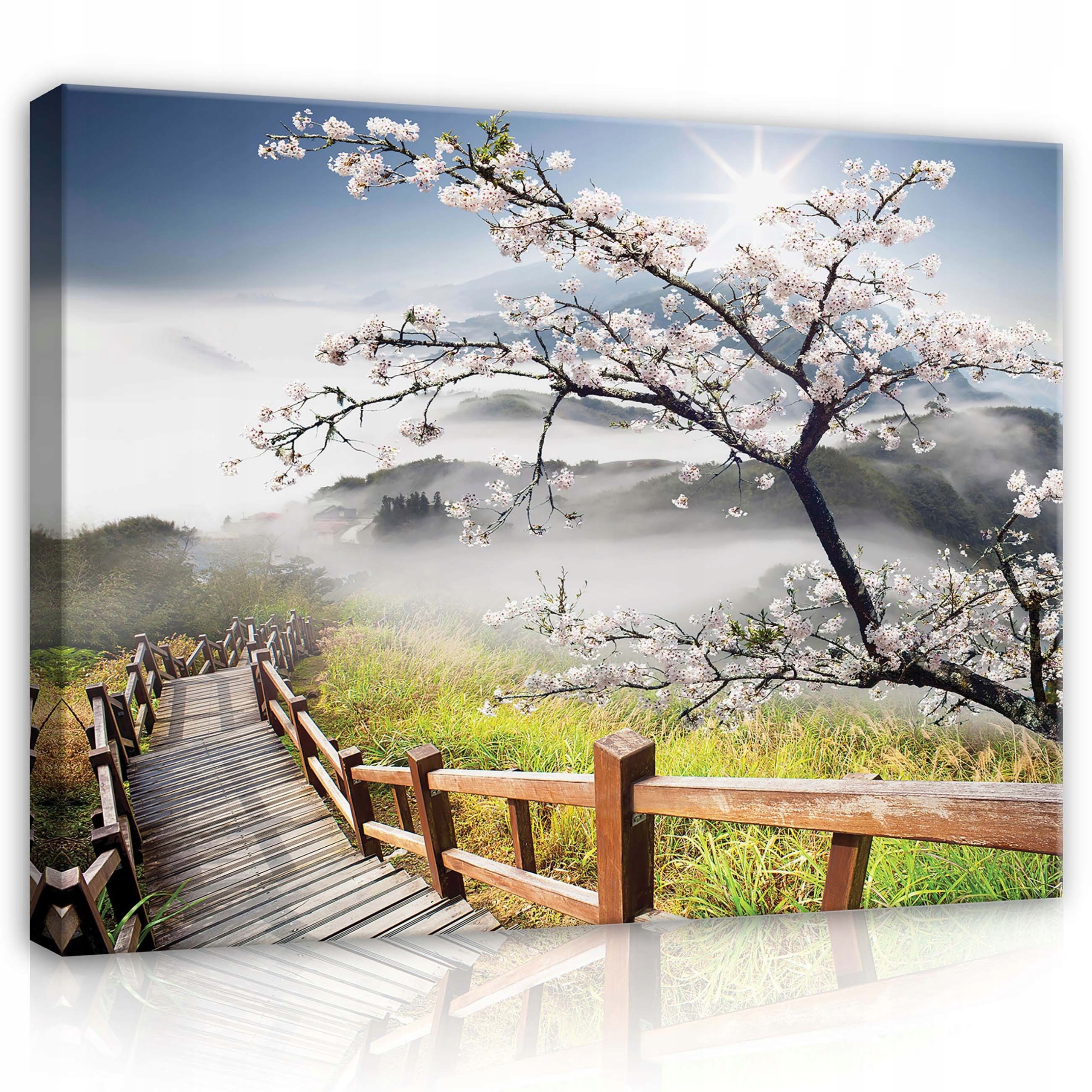 Obraz 100x75 Jaro kvetoucí Sakura mlhavé ráno klid příroda