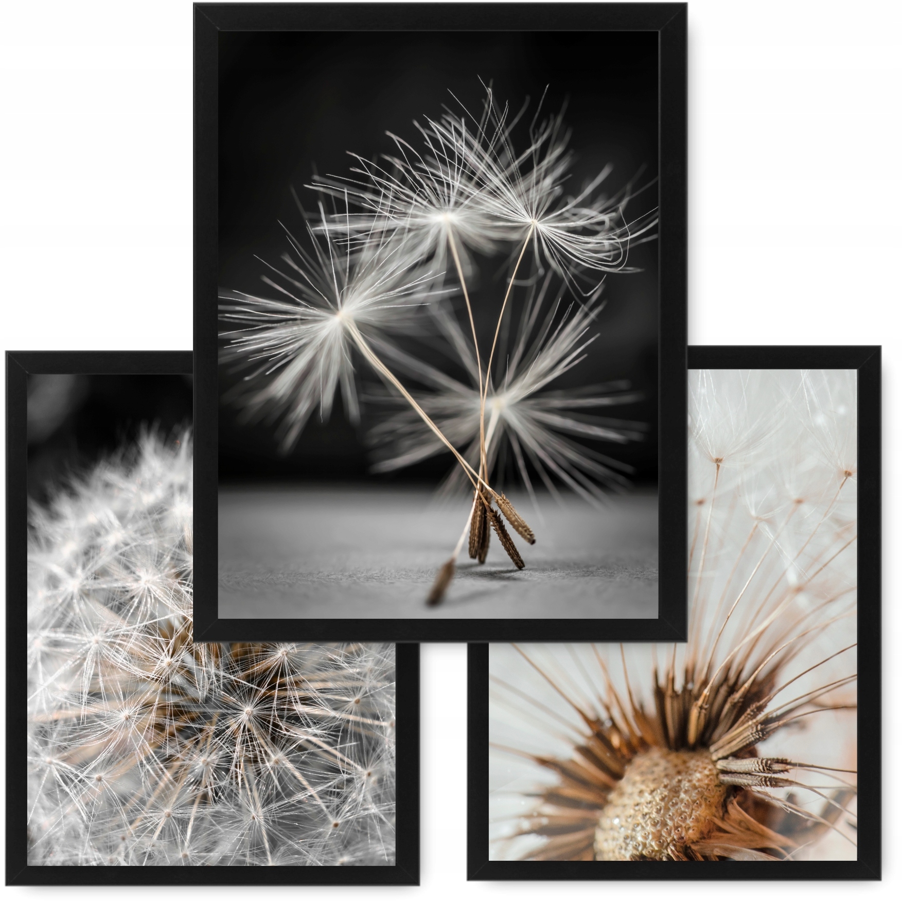 

Dmuchawce 3 obrazy 24x33 plakaty, ramy ikea #2
