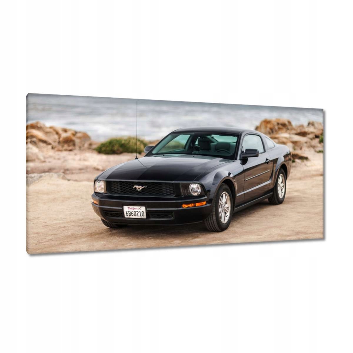 Obrazy 115x55 Černý Ford Mustang
