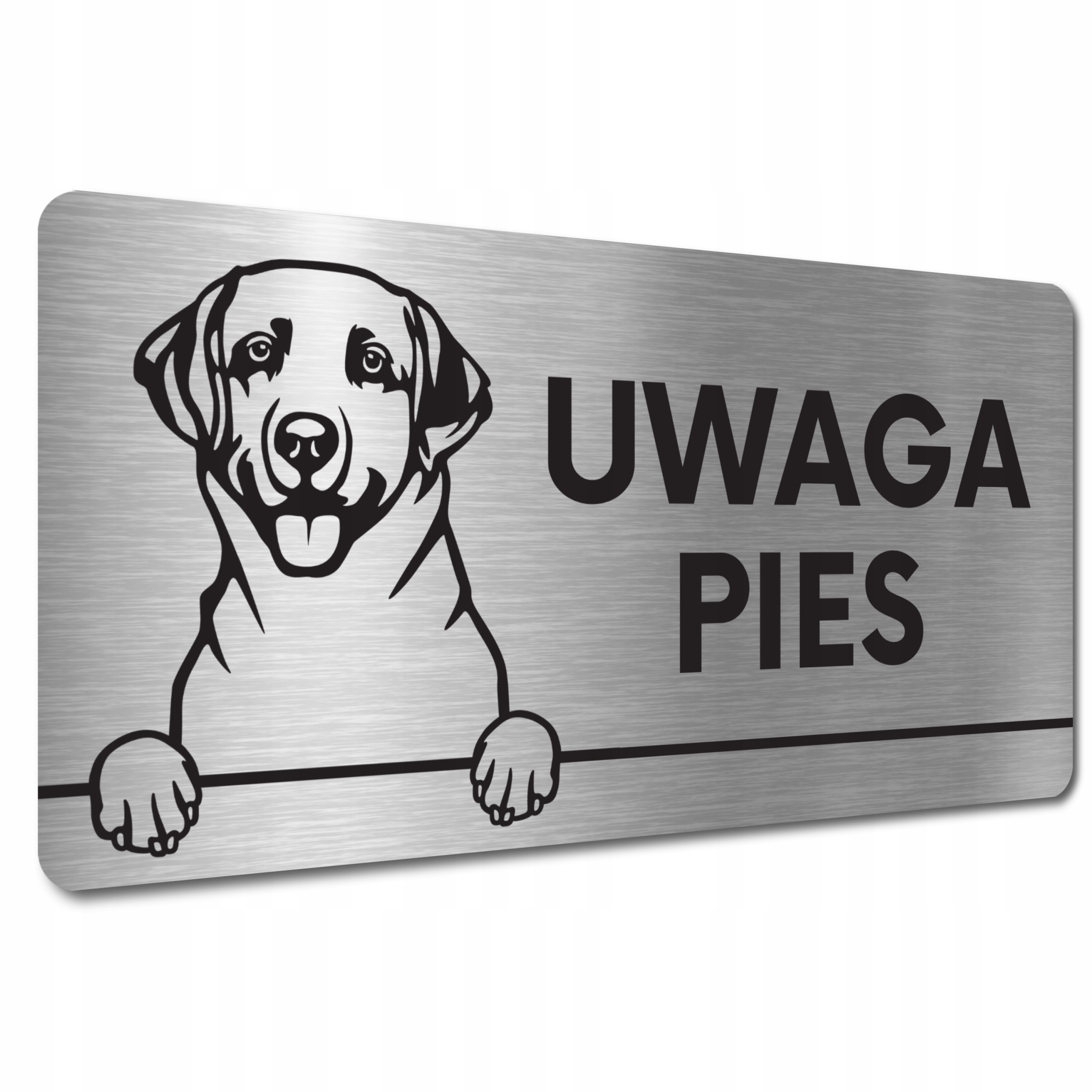 

Tabliczka Uwaga Pies Labrador retriever Groźny