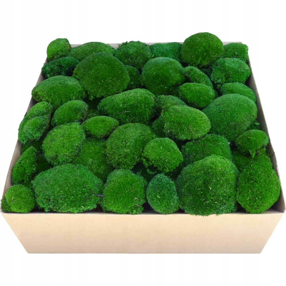 Mech Kępkowy PREMIUM Ciemna Zieleń Karton 0,5m2 Kod producenta mkp05dg