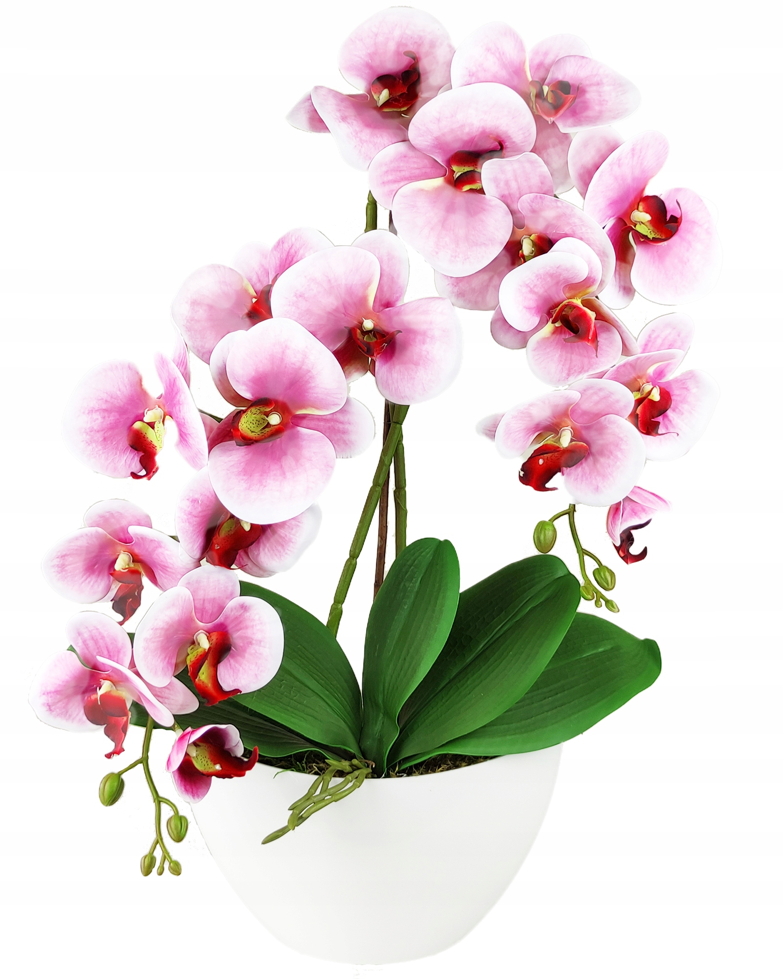 4de9b6a247c29fe60cf43661e35b