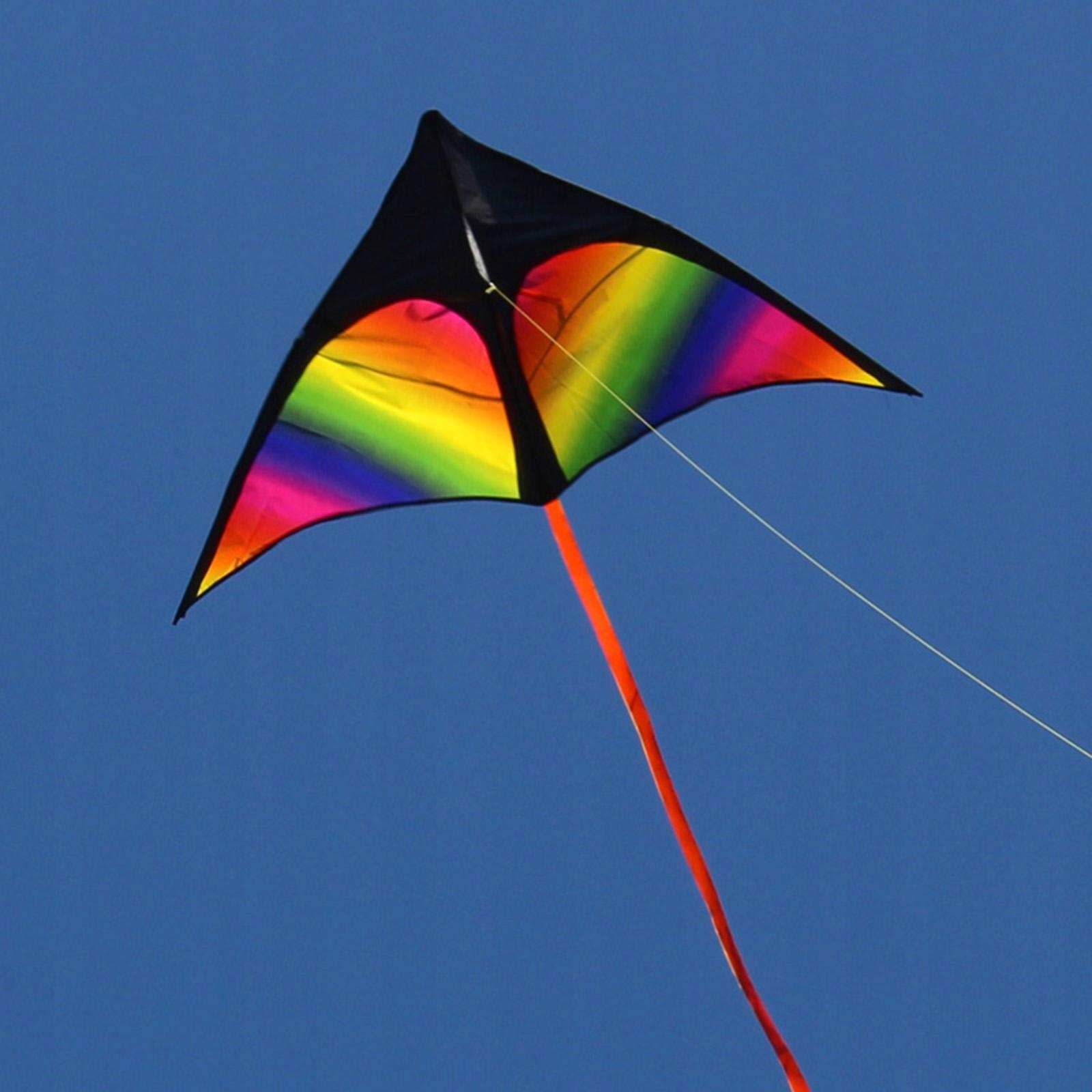 Giant Delta Kite, latawiec łatwy do latania z Marka inna