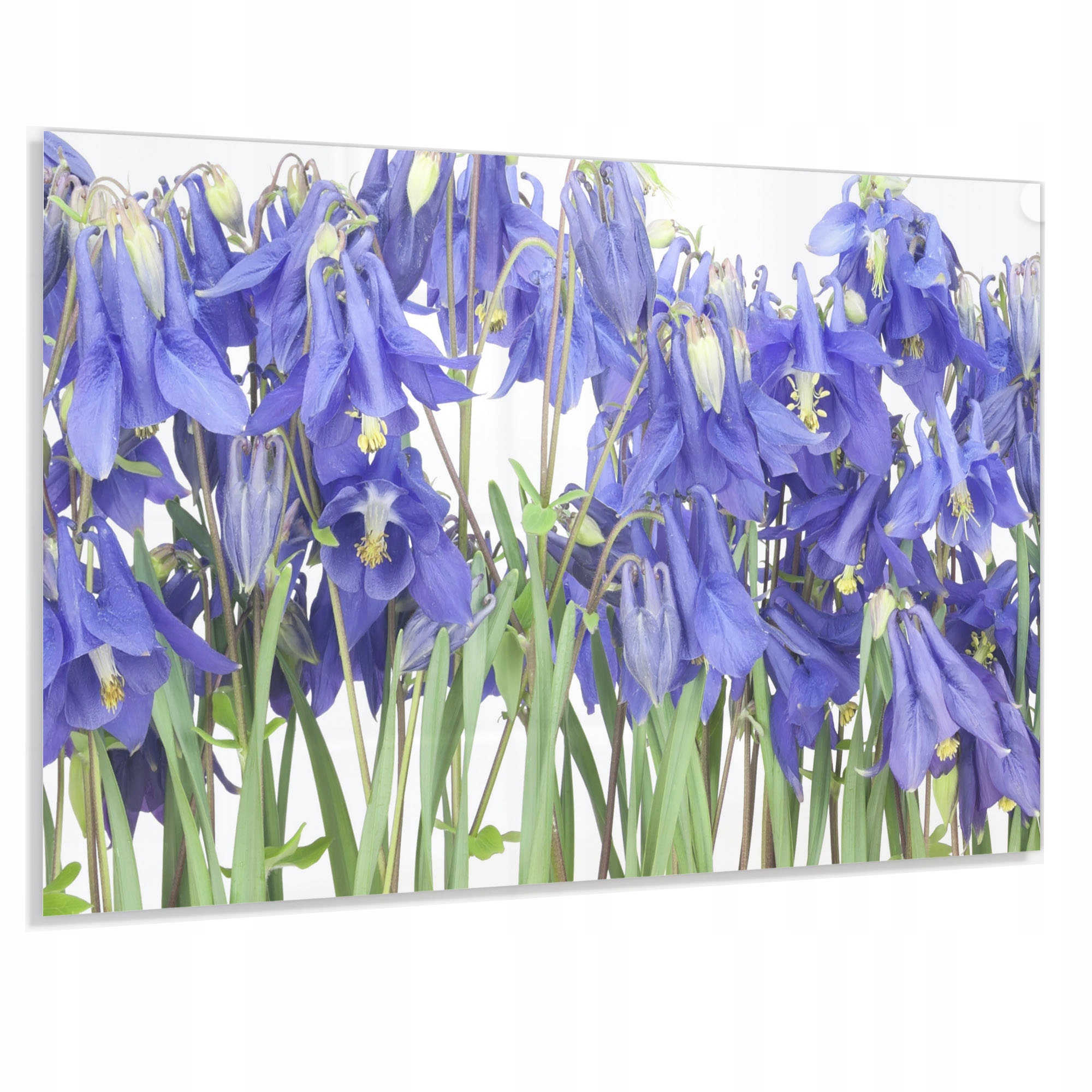 Tvrdený Panel 90x60 cm 4 mm Lacobel Do Kuchyne Ochranný Dekoračný