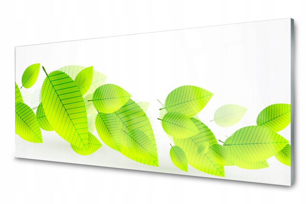 Sklenený panel do kuchyne Listy Kvety 125x50