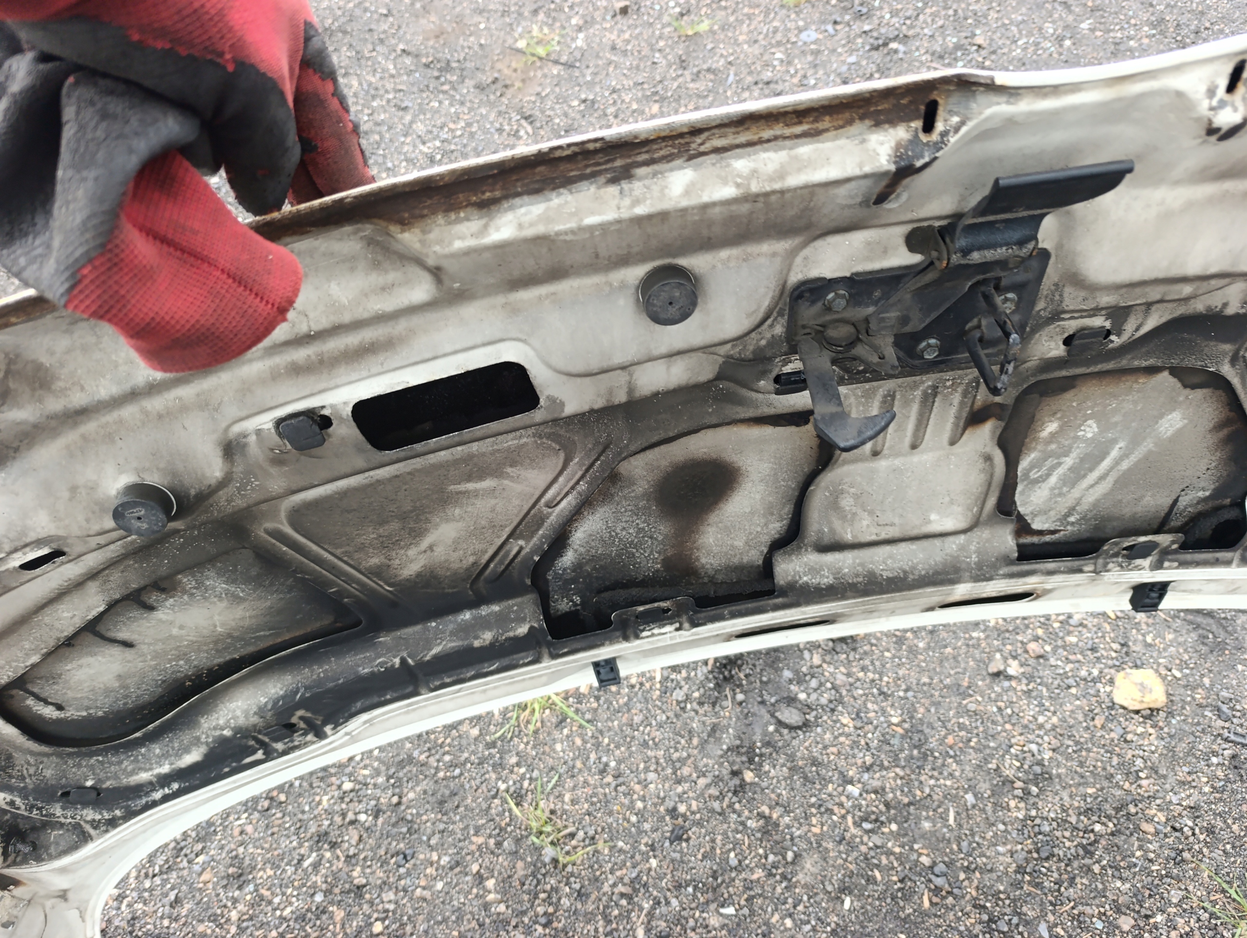VW T5 bonnet BIALA