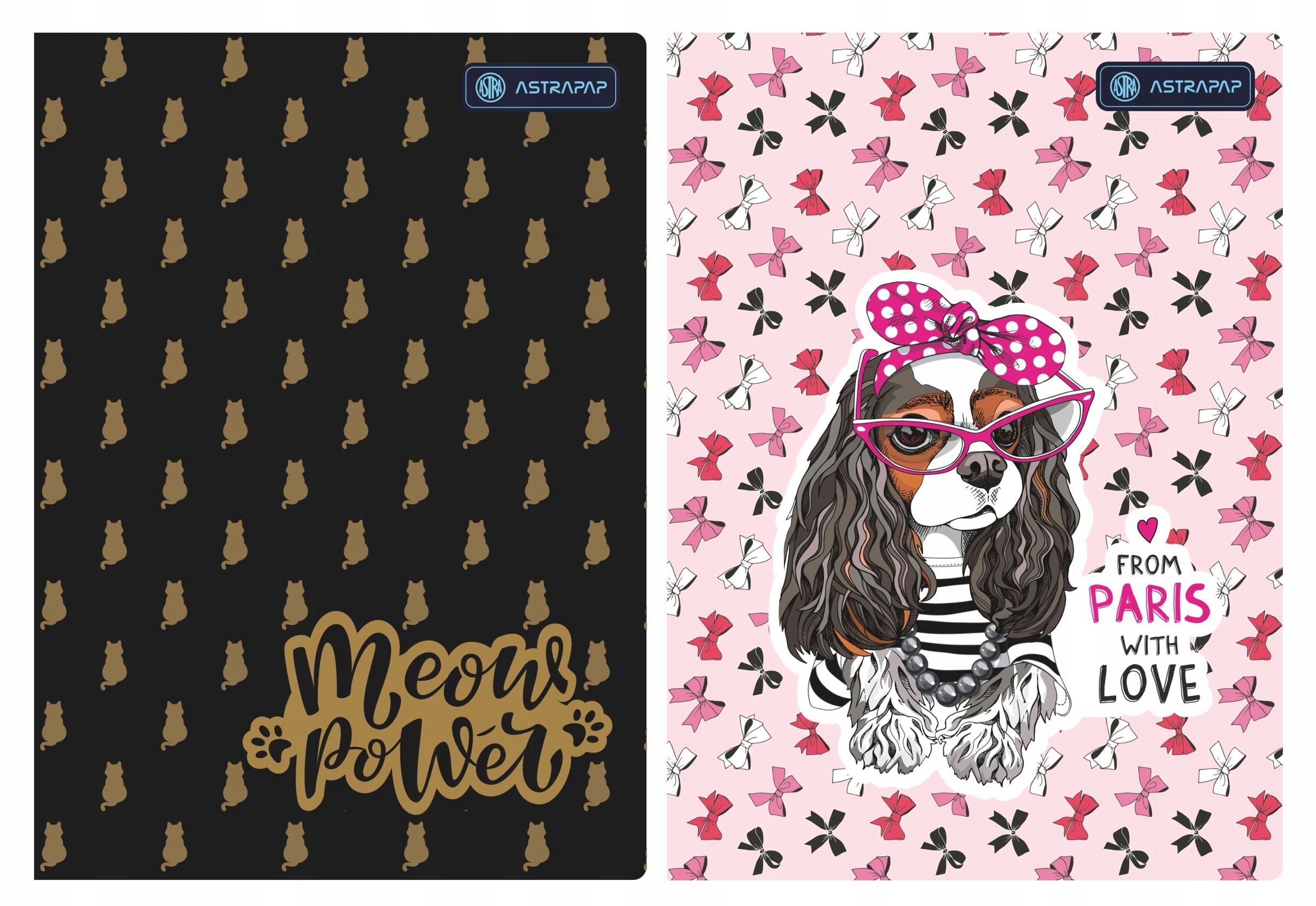 

Zeszyt A5 32k szeroka linia Astra dziewczęcy