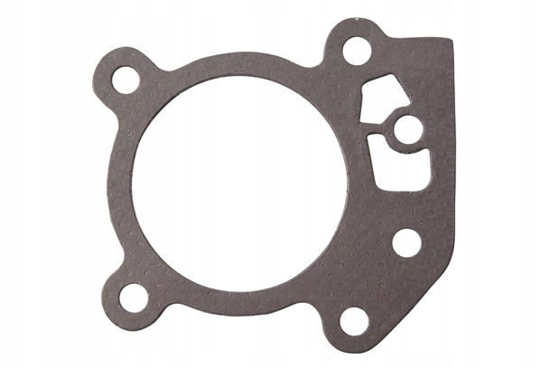 USZCZELKA GŁOWICY B&S BRIGGS 450E 500E 550E