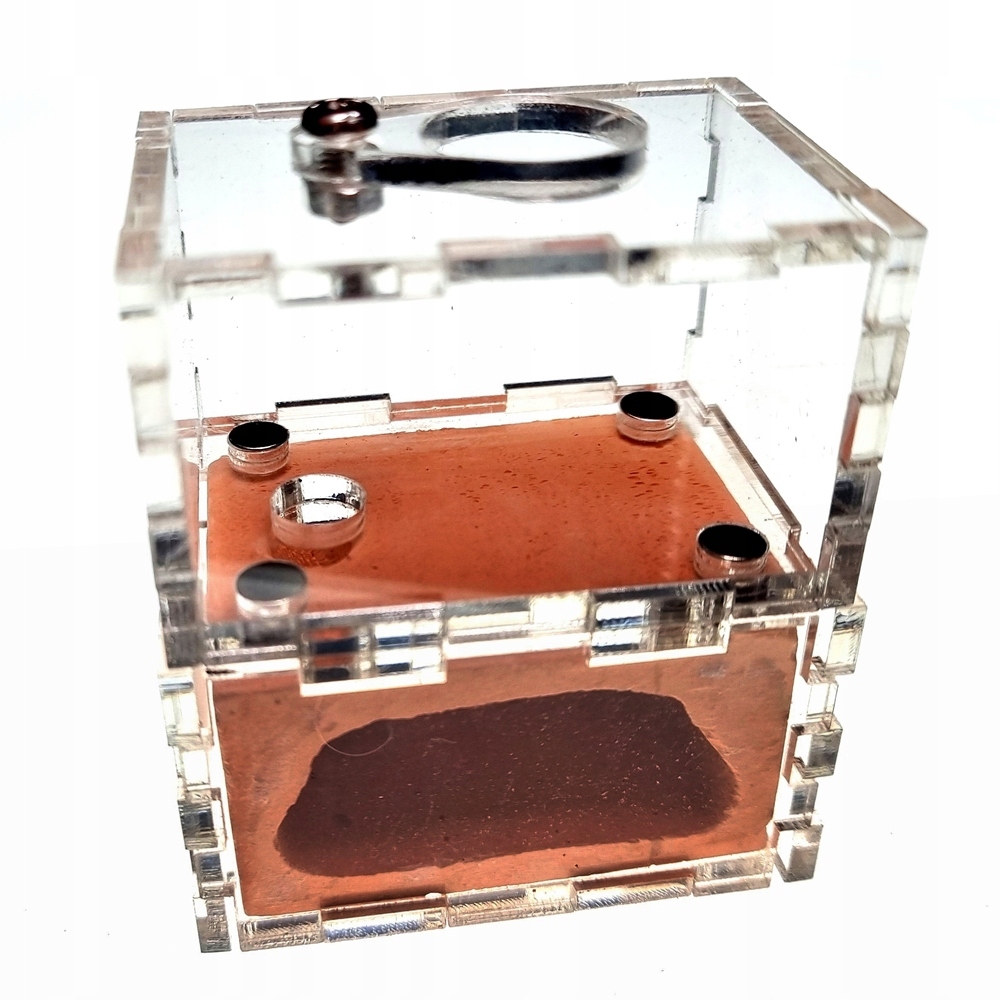 

[Mrówki] Mini gniazdo Red z areną