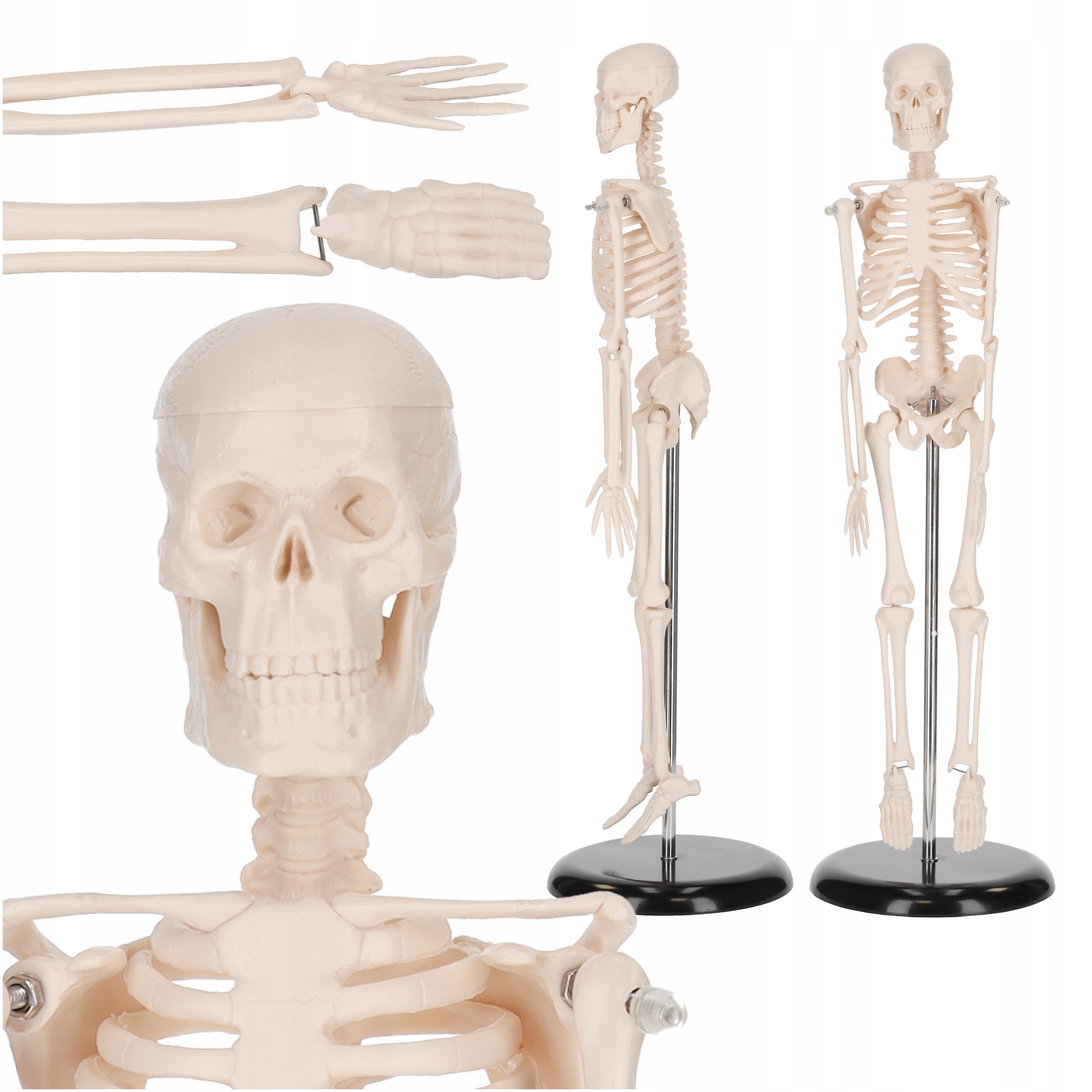 Szkielet Człowieka Model Anatomiczny Układu Kostnego 3D Miniatura 45 CM