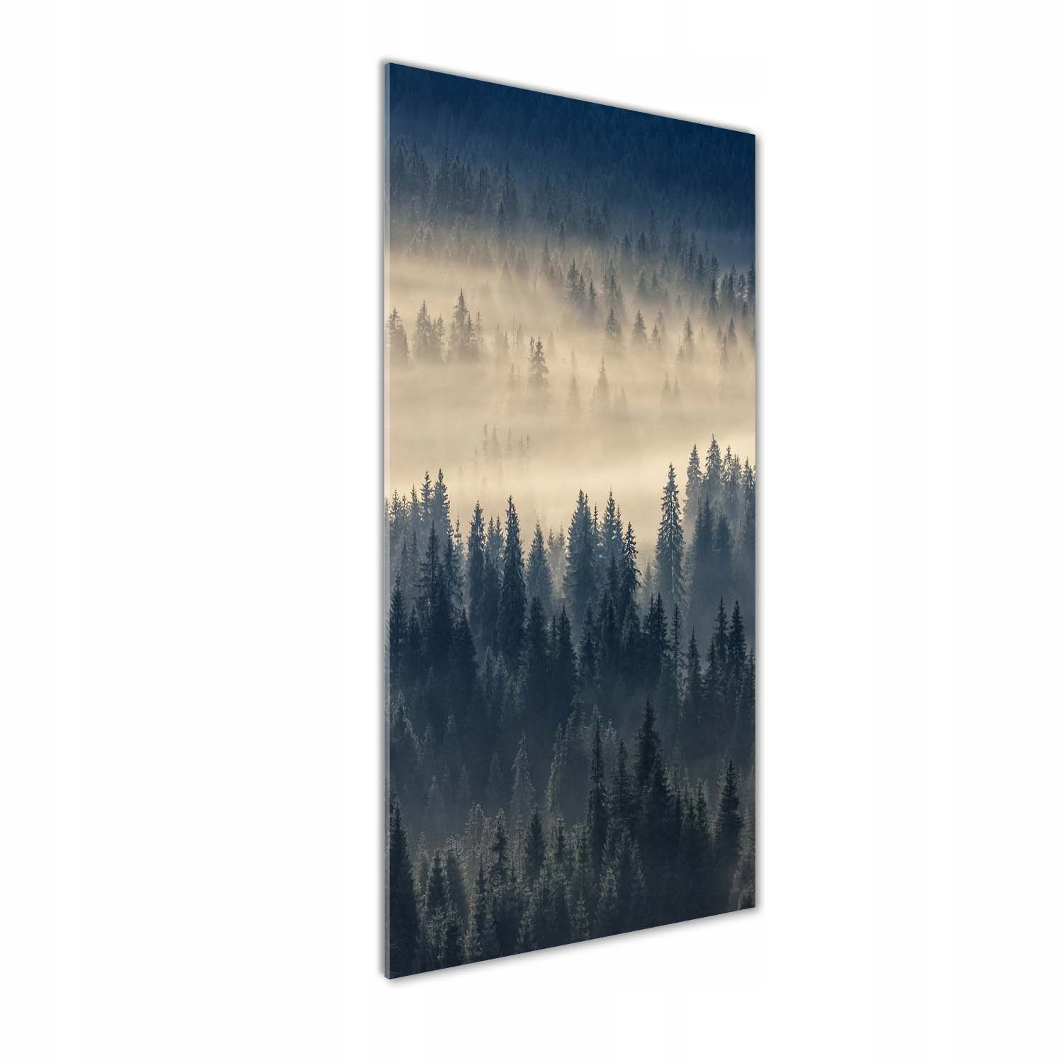

Foto obraz akryl do salonu Mgła nad lasem 50x125cm