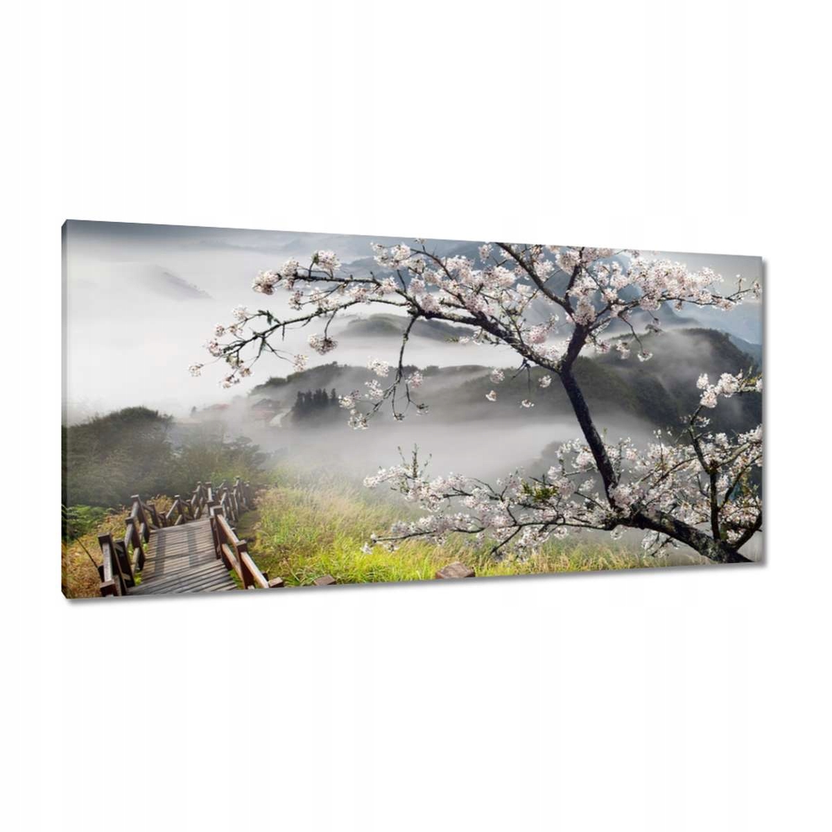 Obrazy 115x55 Japonsko Kvetoucí višeň