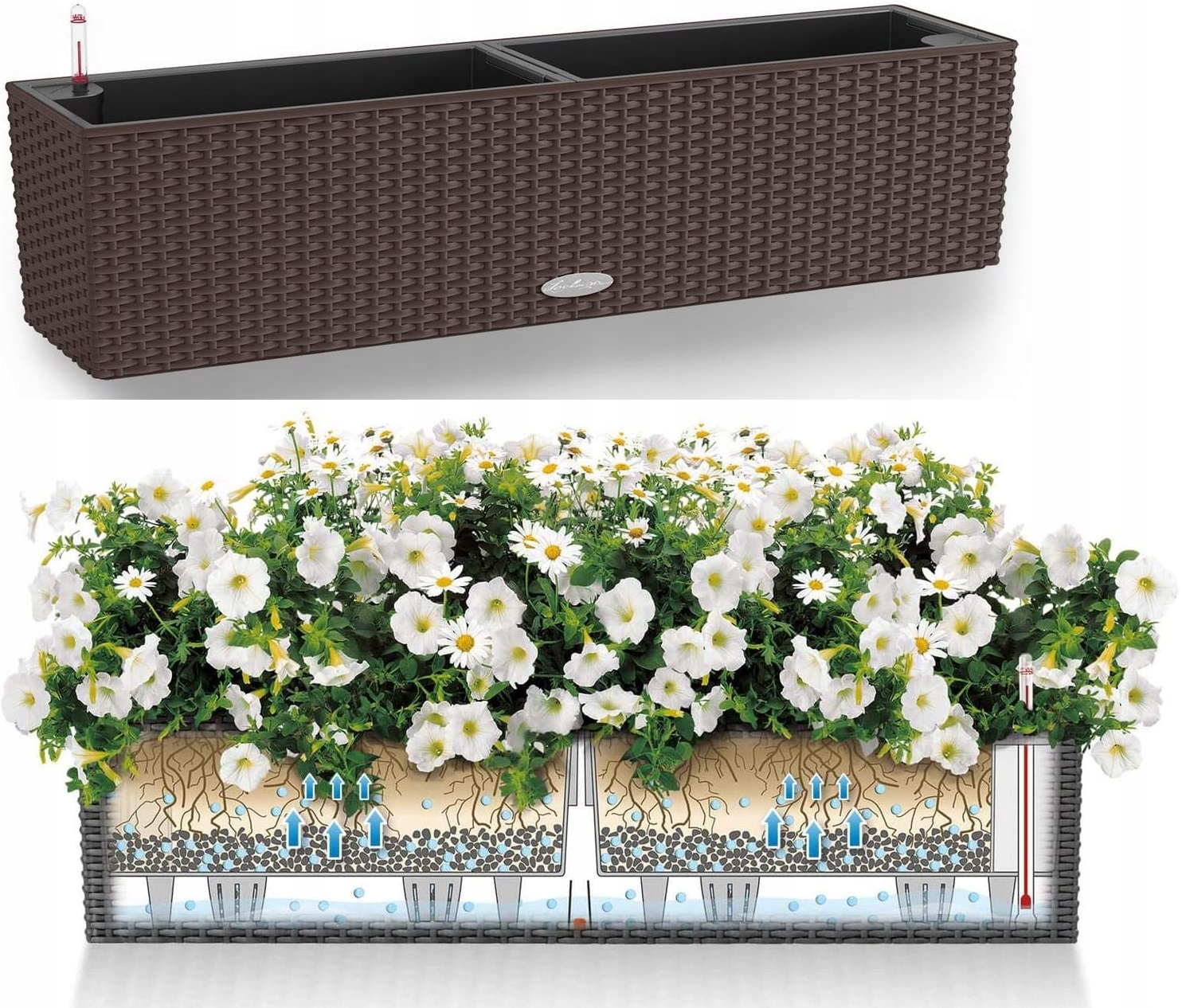 Lechuza Balconera 80 Mokka Kvetináč Samosadzujúca Kvetináčka 79x19CM