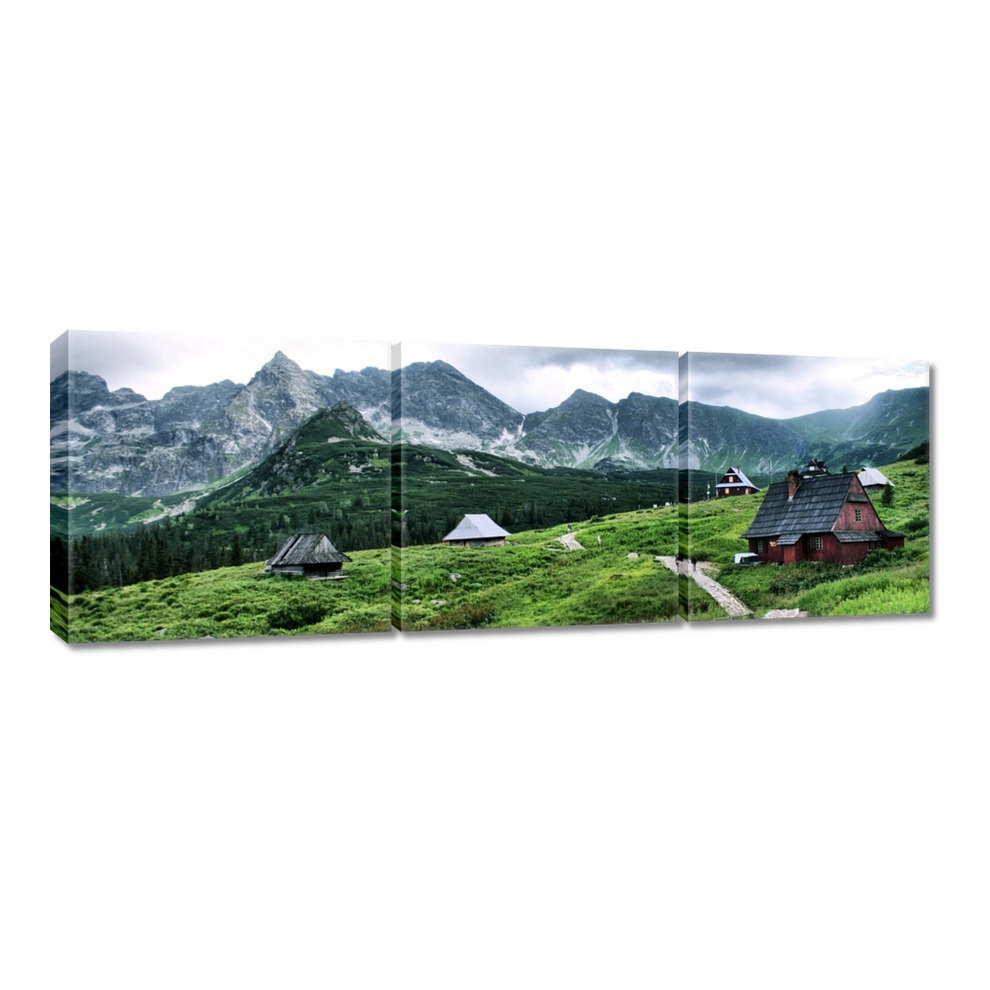 

Obrazy 120x40 Tatry Hala Gąsienicowa