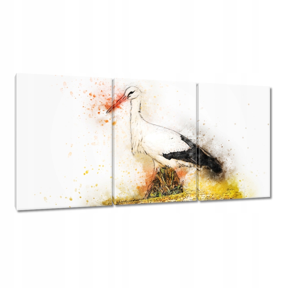 

Obrazy 120x60 Bocian