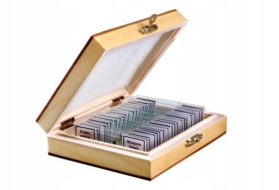 

Preparaty do mikroskopu Zoologia 25szt