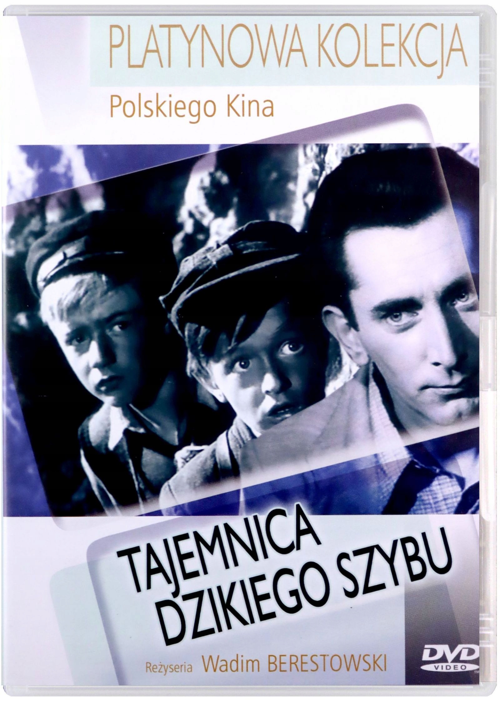 TAJEMNICA DZIKIEGO SZYBU (DVD)