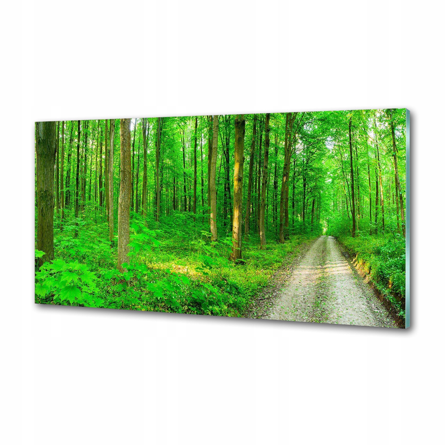 Panel do kuchyně Stromy v lese 120x60 cm Lepidlo