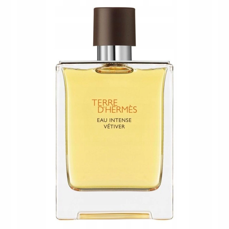 Hermes Terre d'Hermes Eau Intense Vetiver Parfémovaná voda 100 ml