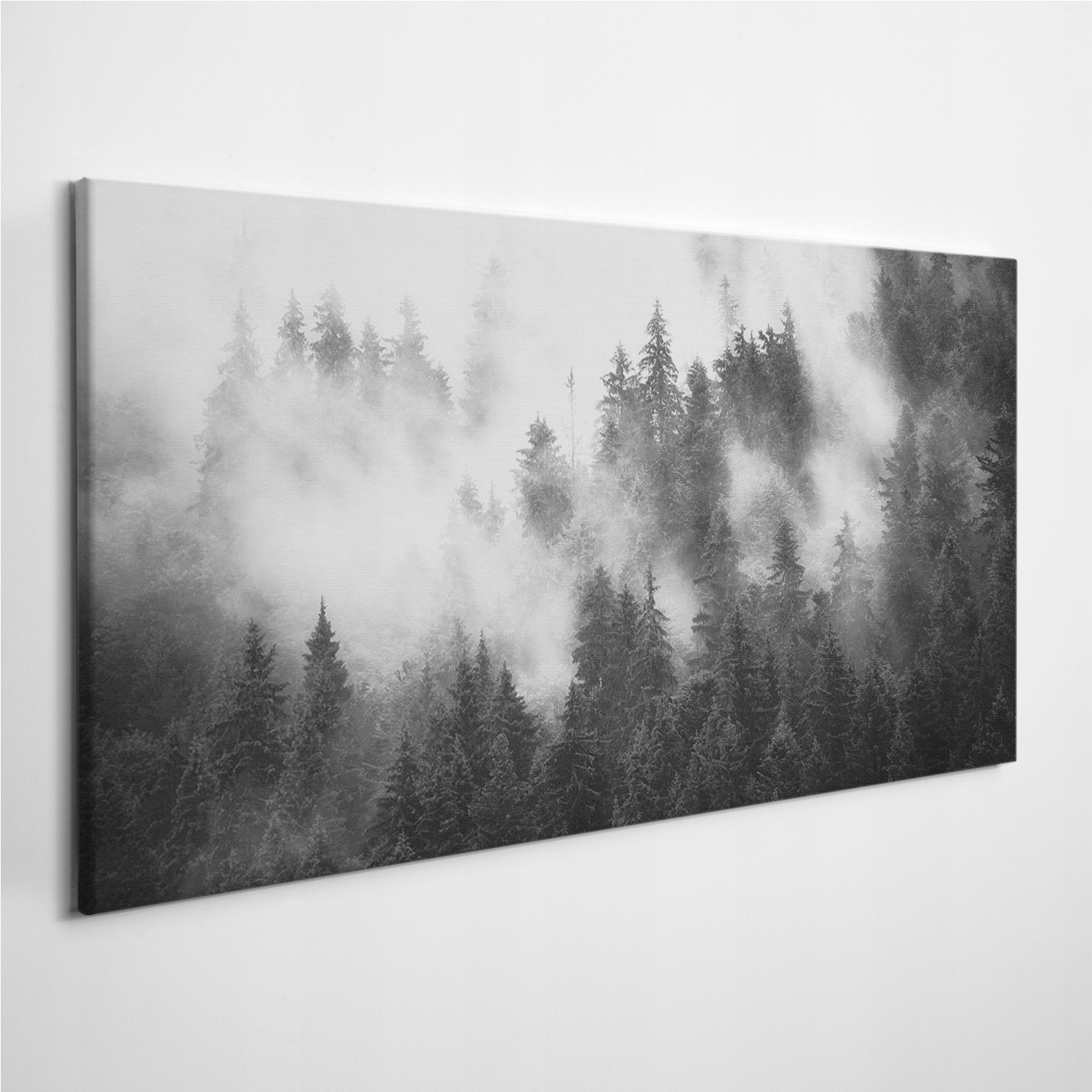 

Zdjęcie na foto-obrazie Krajobraz Mgła Las 100x50